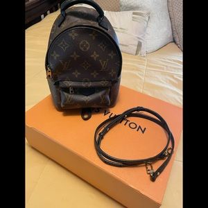 Louis Vuitton Palm Spring mini